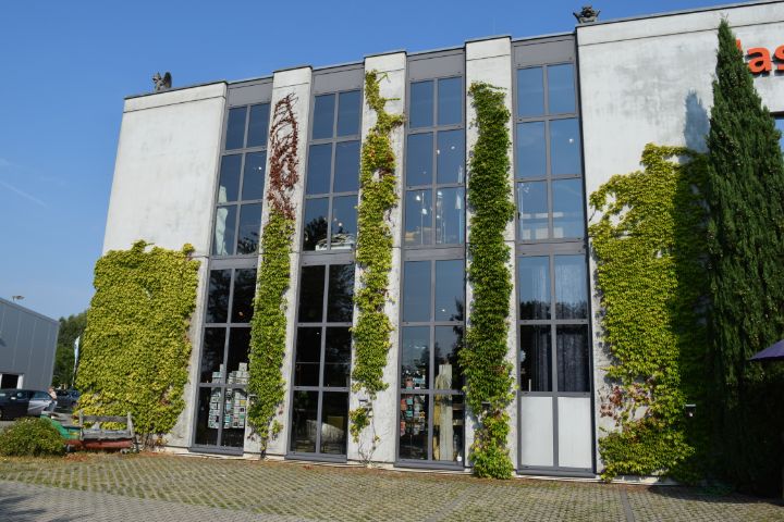 Fassadenbegrünung in Leipzig